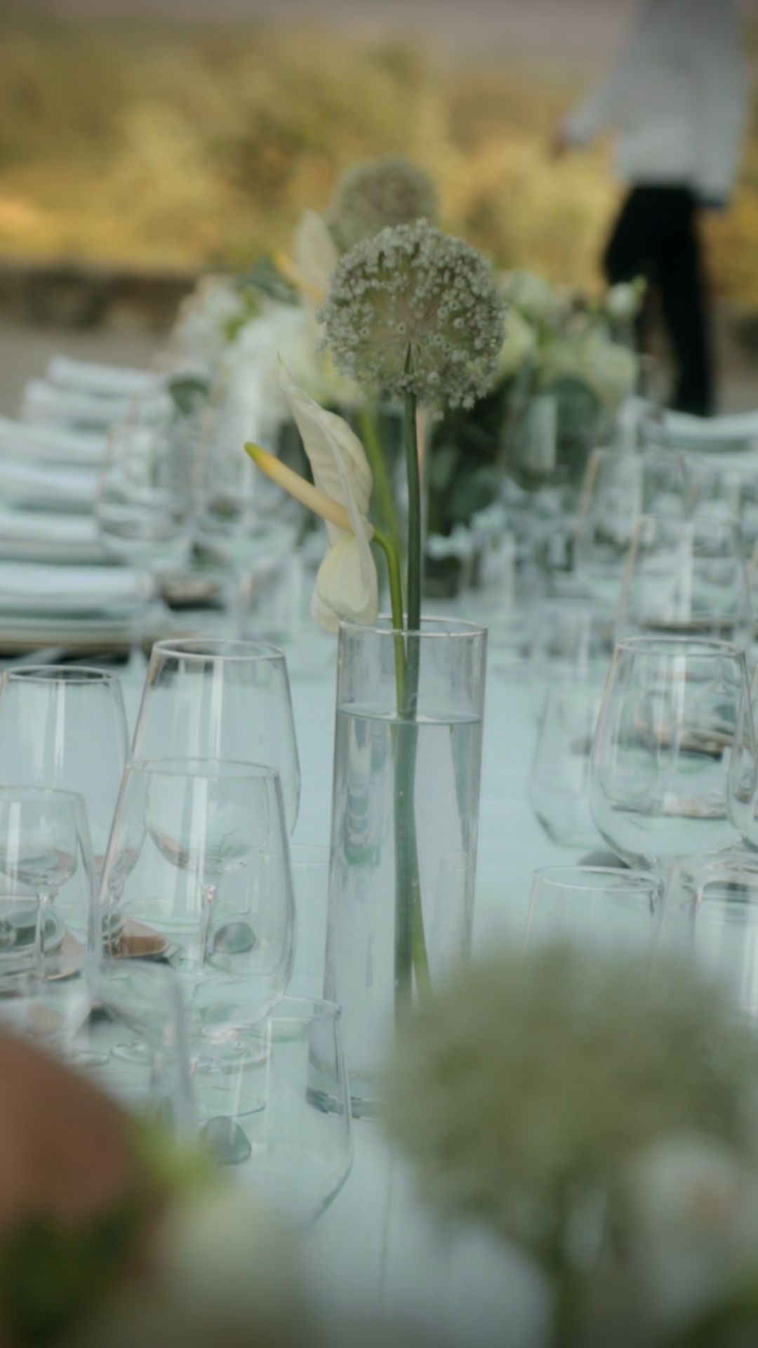 Susana Alegria - Wedding Planning - Event Video still 8